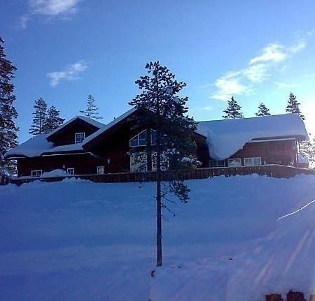 Flott Utleiehytte Pa Gautefall Treungen エクステリア 写真